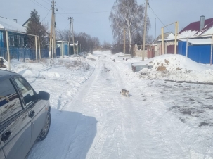 Изображение WhatsApp 2025-06-16 в 14.14.29_72d068c3